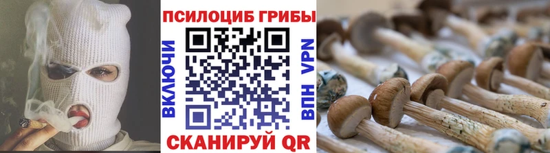 Псилоцибиновые грибы MAGIC MUSHROOMS  Ногинск 